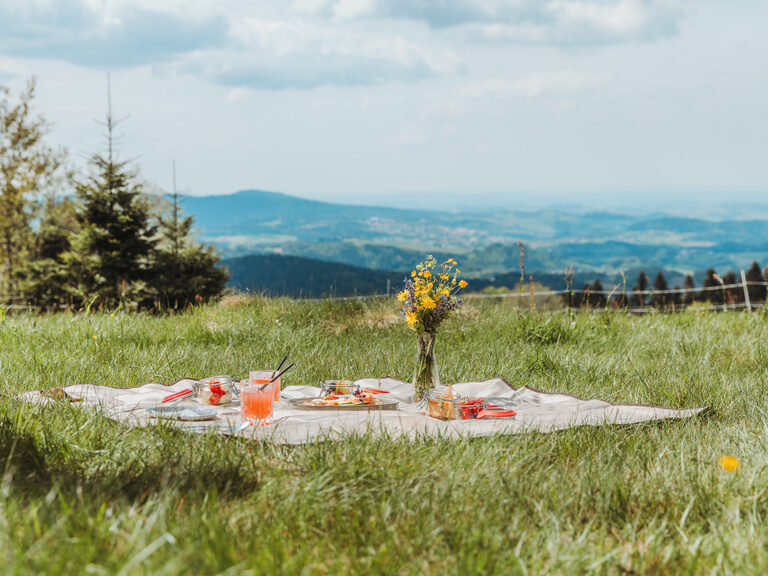 Naturmomente im Bayerischen Wald erleben Picknick auf Wiese in Grainet mit Ausblick über den Bayerischen Wald