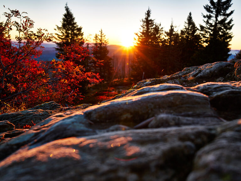 Sonnenaufgang auf einem Berg mit großen Steinen, die Sonne schaut langsam durch die Baumspitzen